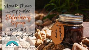 Make Elderberry Syrup-bg