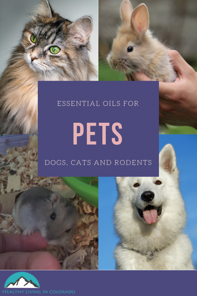 The Best Essential Oils That Are Safe for Dogs and Cats • Healthy Living in Colorado, LLC