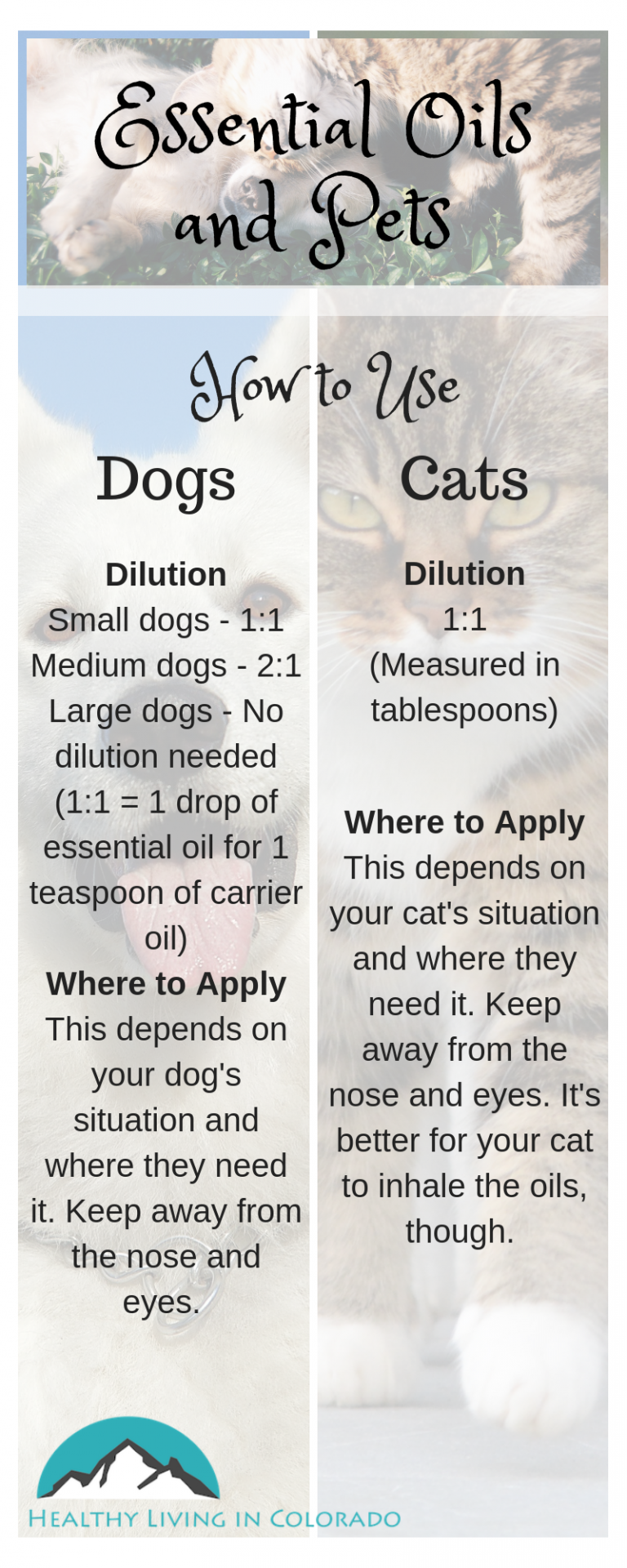 The Best Essential Oils That Are Safe for Dogs and Cats • Healthy