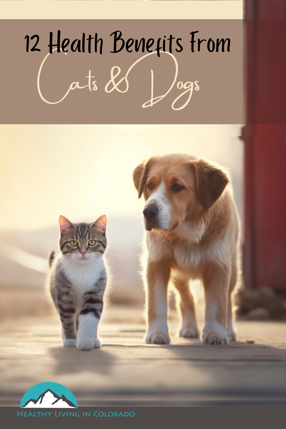 benefits of cats and dogs