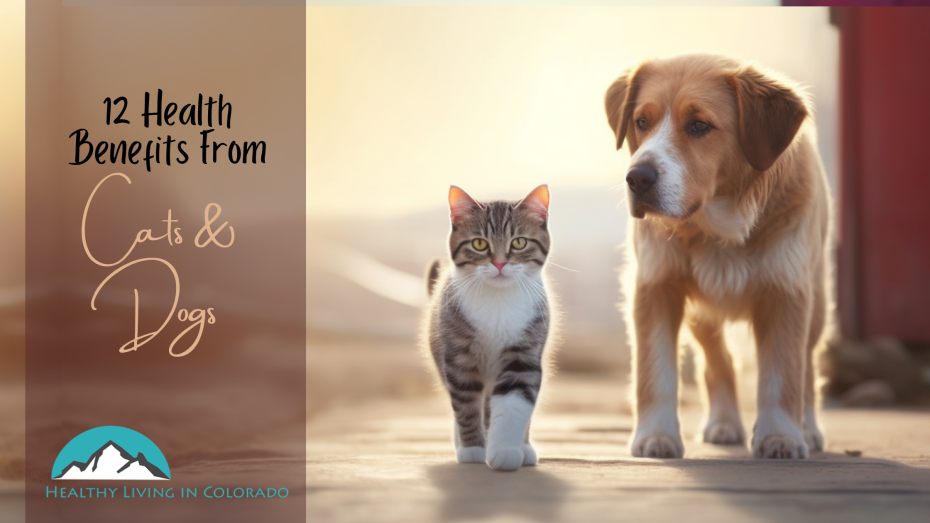 Health Benefits From Cats and Dogs Healthy Living in Colorado
