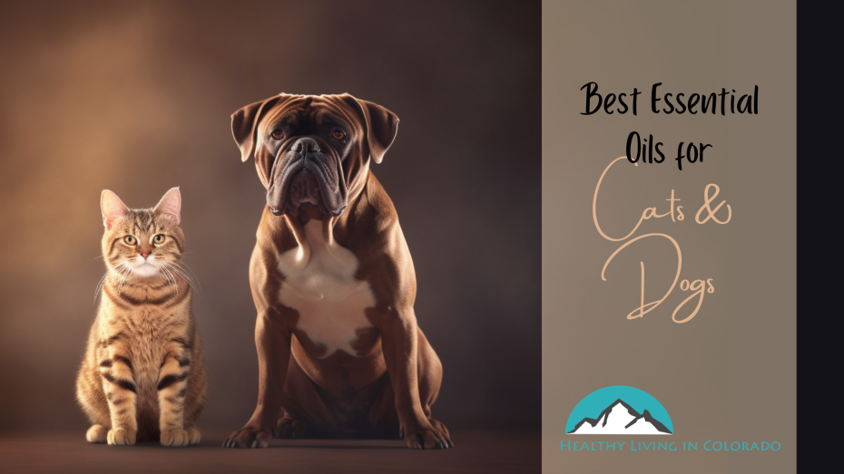Best Essential Oils for Cats and Dogs