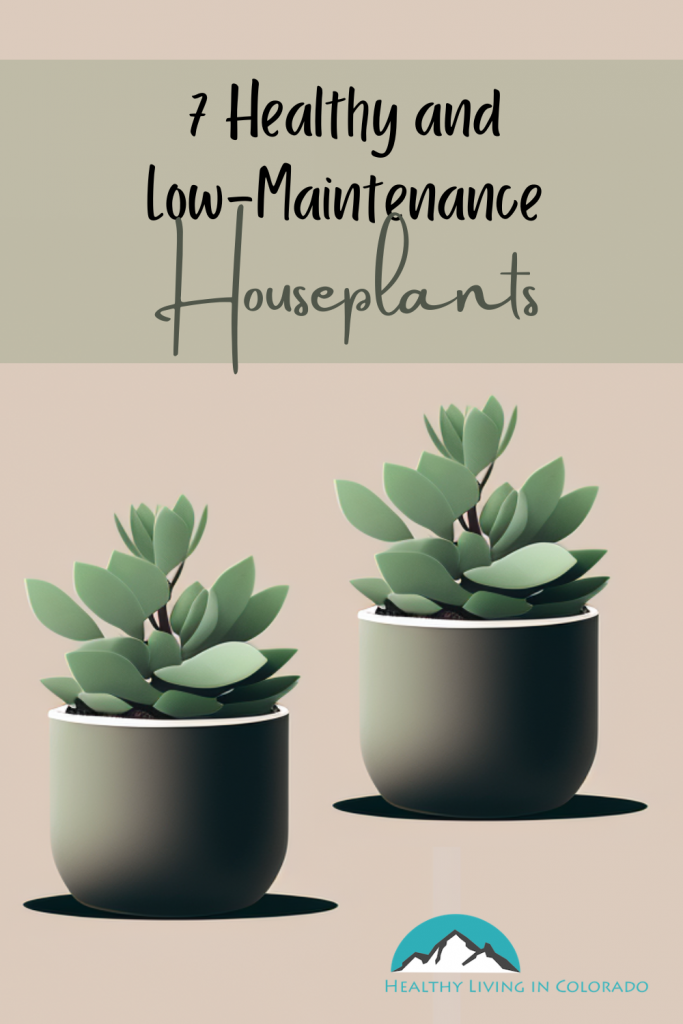 Healthy and Low-Maintenance Houseplant