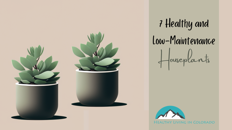 Healthy and Low-Maintenance Houseplants